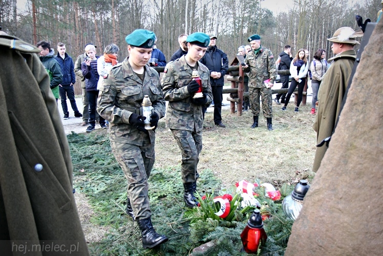 Symboliczne tabliczki Żołnierzy Niezłomnych odsłonięte. Szydłowieckie dęby pomnikami pamięci