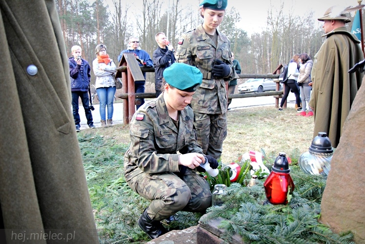Symboliczne tabliczki Żołnierzy Niezłomnych odsłonięte. Szydłowieckie dęby pomnikami pamięci