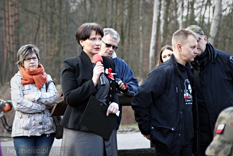 Symboliczne tabliczki Żołnierzy Niezłomnych odsłonięte. Szydłowieckie dęby pomnikami pamięci