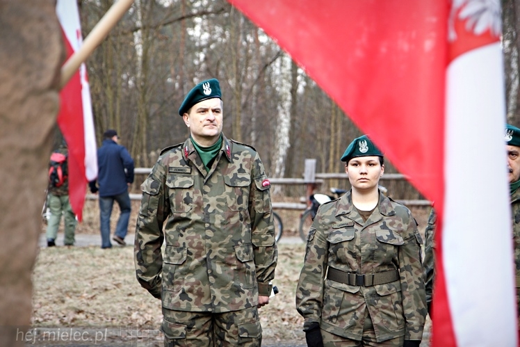 Symboliczne tabliczki Żołnierzy Niezłomnych odsłonięte. Szydłowieckie dęby pomnikami pamięci