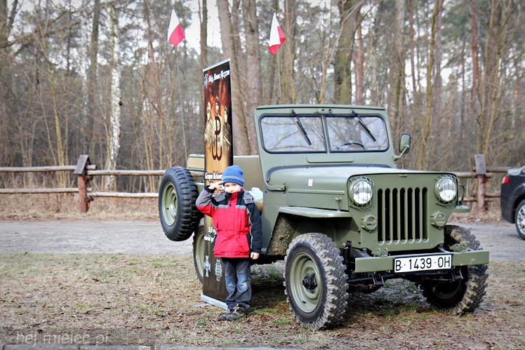 Symboliczne tabliczki Żołnierzy Niezłomnych odsłonięte. Szydłowieckie dęby pomnikami pamięci