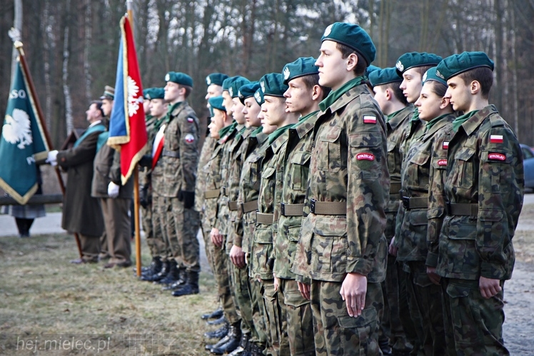 Symboliczne tabliczki Żołnierzy Niezłomnych odsłonięte. Szydłowieckie dęby pomnikami pamięci