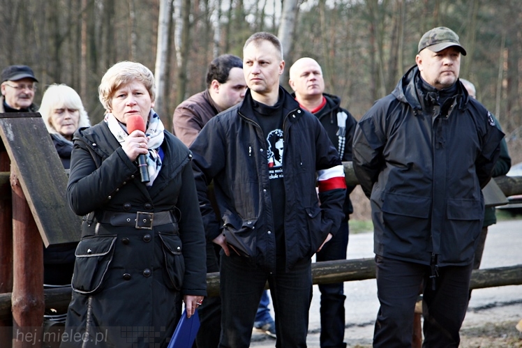 Symboliczne tabliczki Żołnierzy Niezłomnych odsłonięte. Szydłowieckie dęby pomnikami pamięci