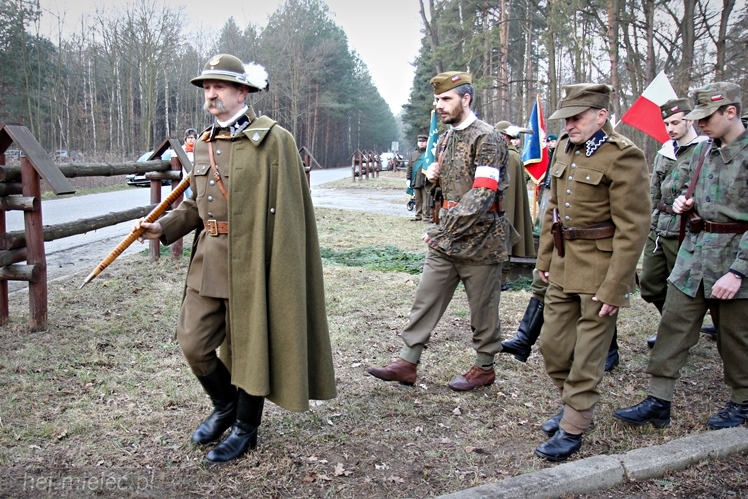 Symboliczne tabliczki Żołnierzy Niezłomnych odsłonięte. Szydłowieckie dęby pomnikami pamięci