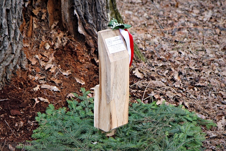 Symboliczne tabliczki Żołnierzy Niezłomnych odsłonięte. Szydłowieckie dęby pomnikami pamięci