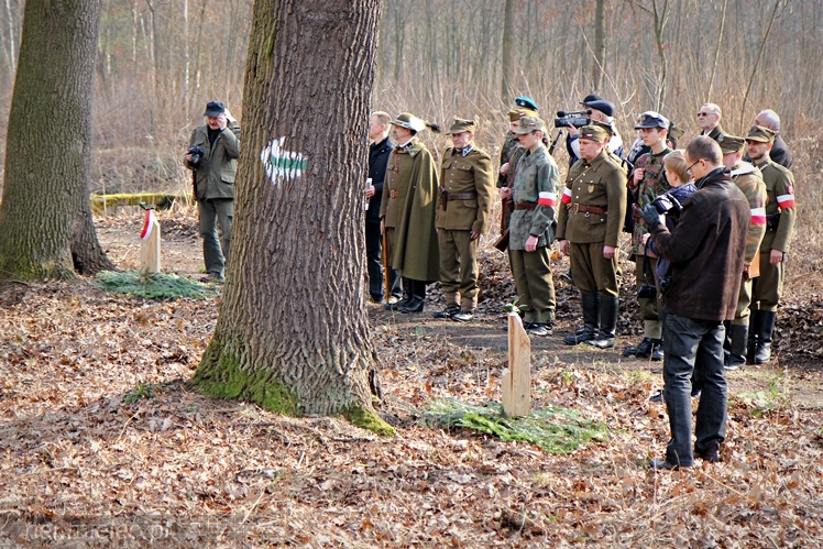 Symboliczne tabliczki Żołnierzy Niezłomnych odsłonięte. Szydłowieckie dęby pomnikami pamięci