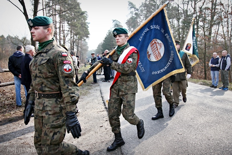 Symboliczne tabliczki Żołnierzy Niezłomnych odsłonięte. Szydłowieckie dęby pomnikami pamięci