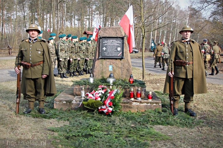 Symboliczne tabliczki Żołnierzy Niezłomnych odsłonięte. Szydłowieckie dęby pomnikami pamięci