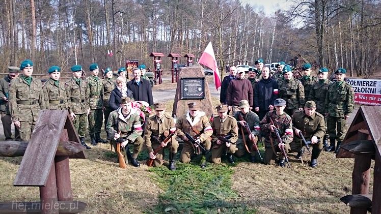 Symboliczne tabliczki Żołnierzy Niezłomnych odsłonięte. Szydłowieckie dęby pomnikami pamięci