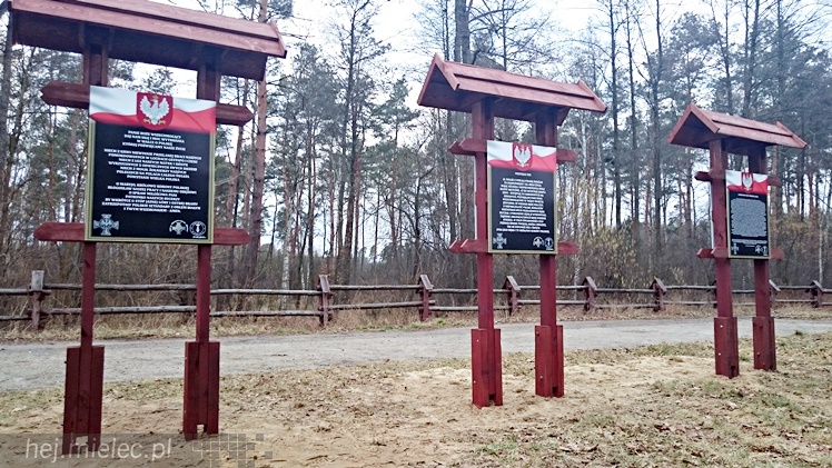 Symboliczne tabliczki Żołnierzy Niezłomnych odsłonięte. Szydłowieckie dęby pomnikami pamięci