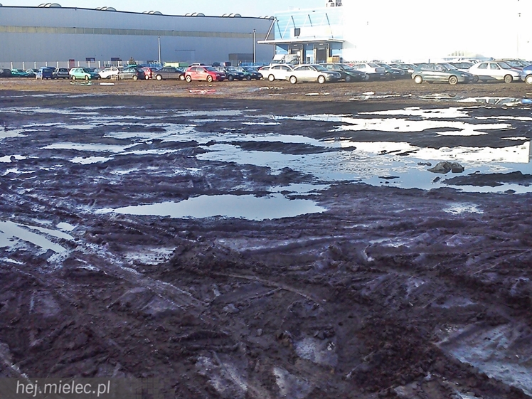 Parkujący na strefie toną w błocie, bo nie ma dla nich miejsca