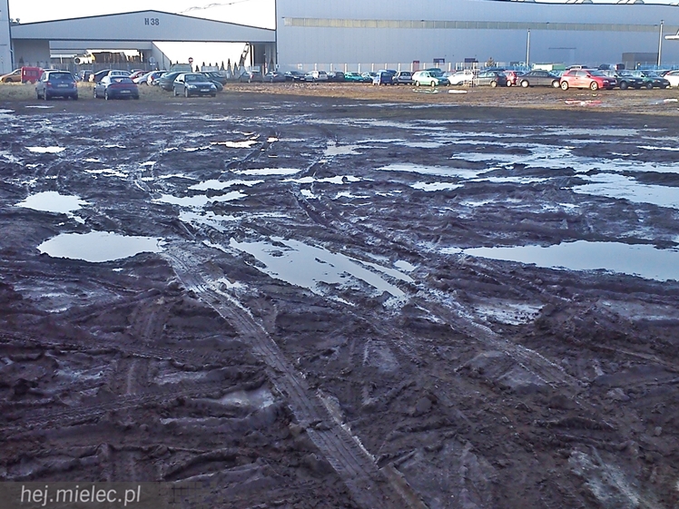 Parkujący na strefie toną w błocie, bo nie ma dla nich miejsca