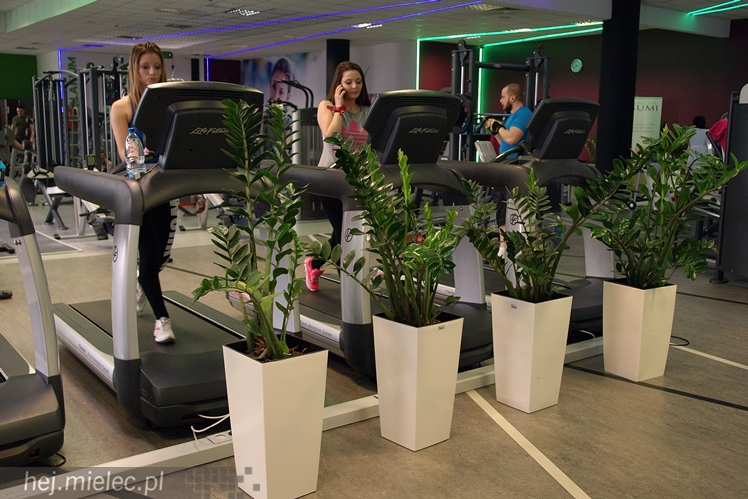 Dzień Kobiet w Joy Fitness Club