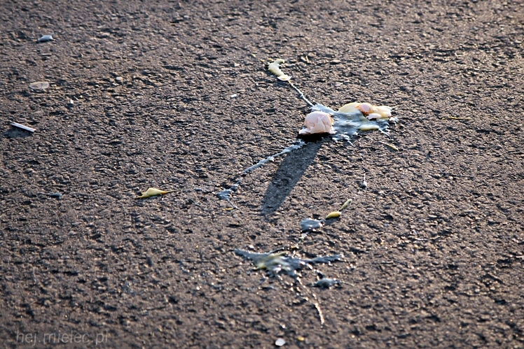 Brunetki, Blondynki z Automobilklubem Mieleckim. Motoryzacyjne Święto Kobiet