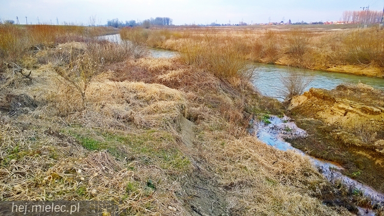 Osunęła się skarpa Wisłoki, zagrożony wał chroniący Wolę Mielecką