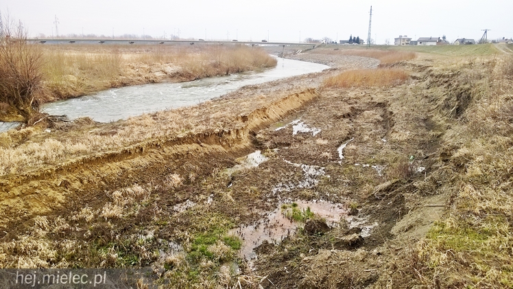 Osunęła się skarpa Wisłoki, zagrożony wał chroniący Wolę Mielecką
