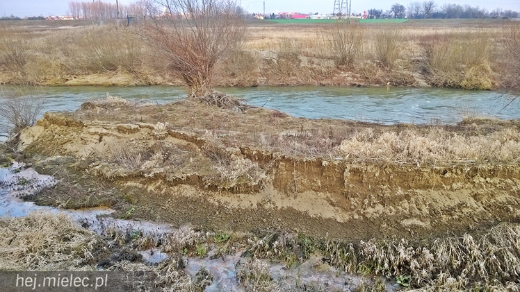 Osunęła się skarpa Wisłoki, zagrożony wał chroniący Wolę Mielecką