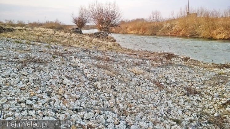 Osunęła się skarpa Wisłoki, zagrożony wał chroniący Wolę Mielecką