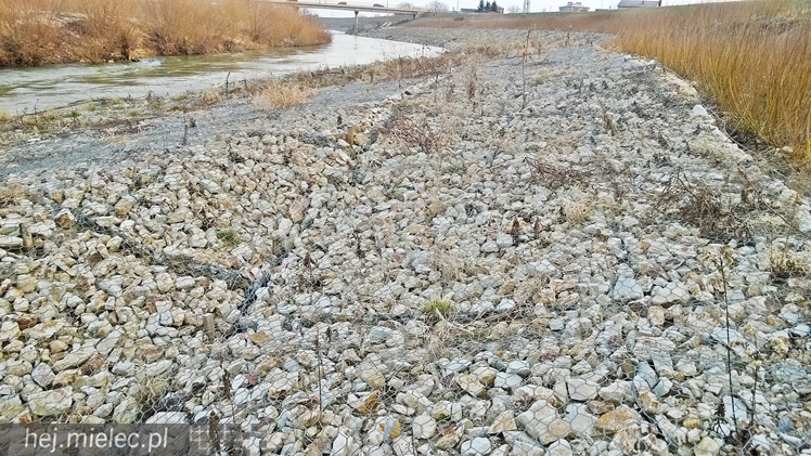 Osunęła się skarpa Wisłoki, zagrożony wał chroniący Wolę Mielecką