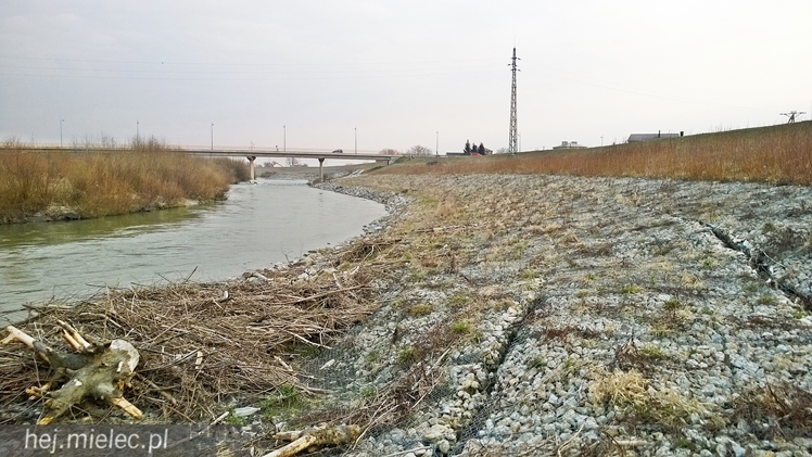 Osunęła się skarpa Wisłoki, zagrożony wał chroniący Wolę Mielecką