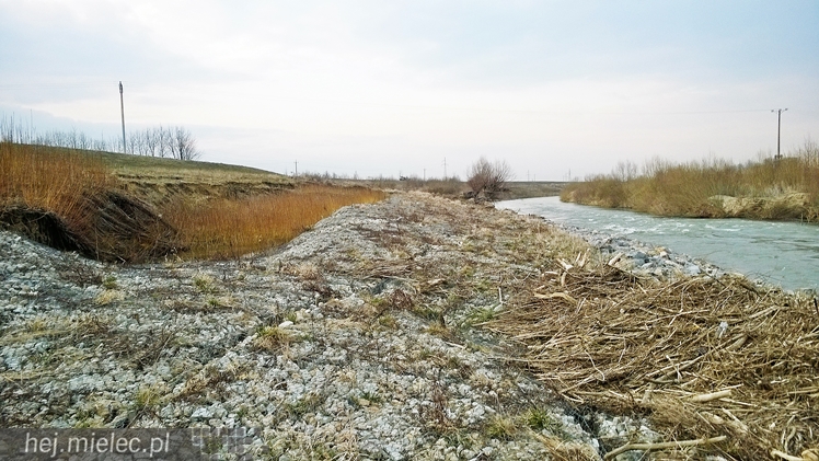 Osunęła się skarpa Wisłoki, zagrożony wał chroniący Wolę Mielecką