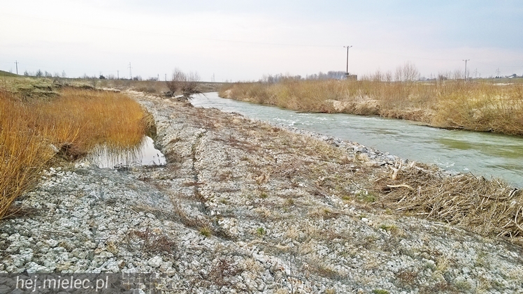 Osunęła się skarpa Wisłoki, zagrożony wał chroniący Wolę Mielecką