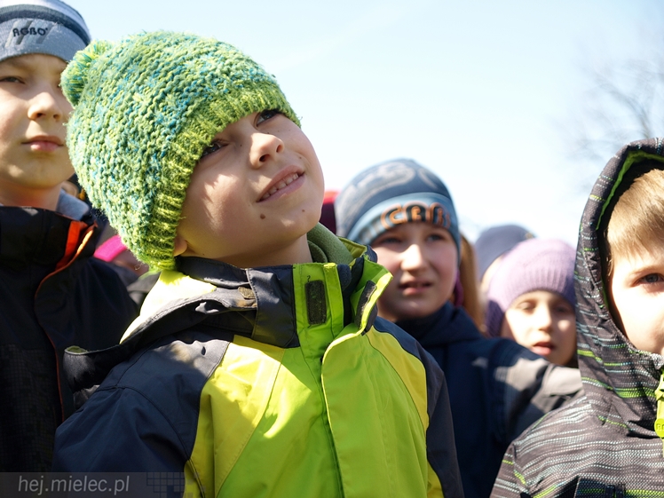 Gryf Mielecki przemówił! Przypomina historię miasta! I ryczy!