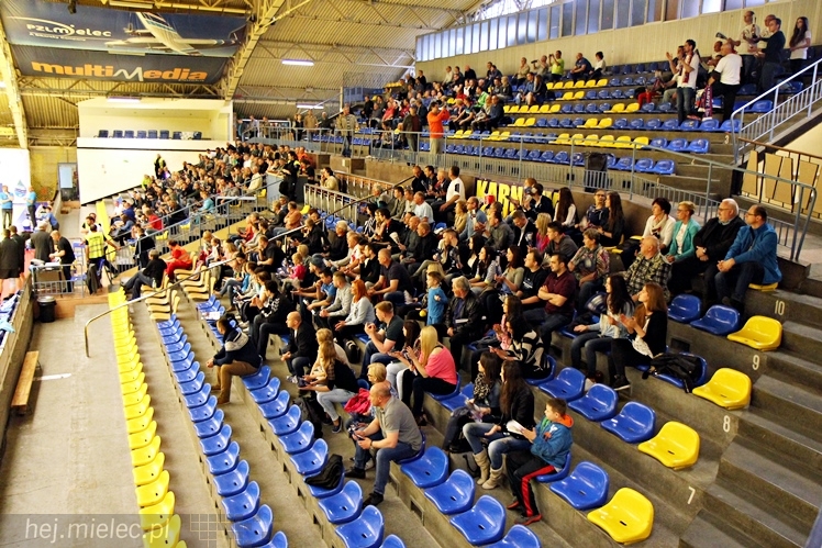 PGE Stal Mielec - Górnik Zabrze 22:28