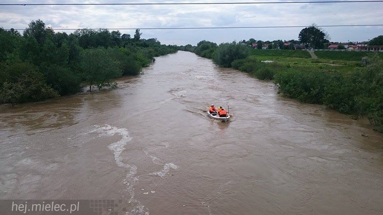 Wisłoka wystąpiła z brzegów