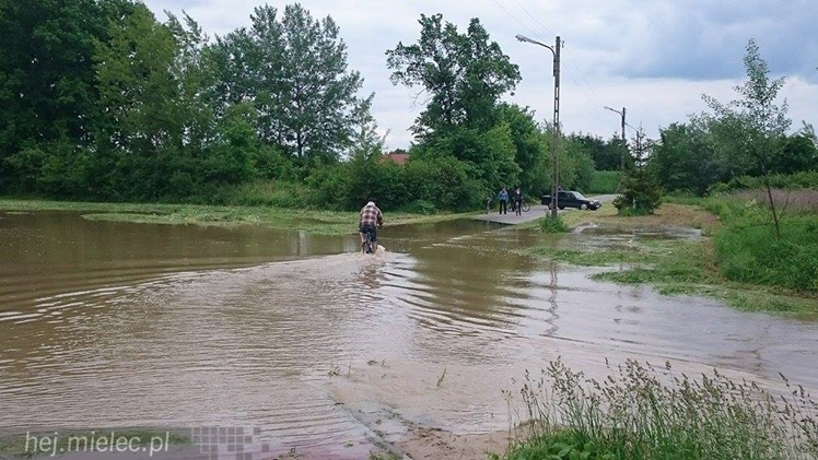 Wisłoka wystąpiła z brzegów