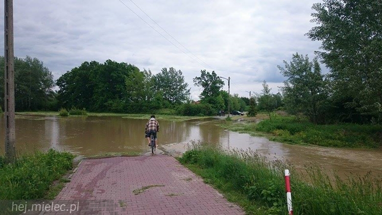 Wisłoka wystąpiła z brzegów