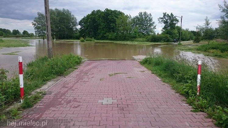 Wisłoka wystąpiła z brzegów