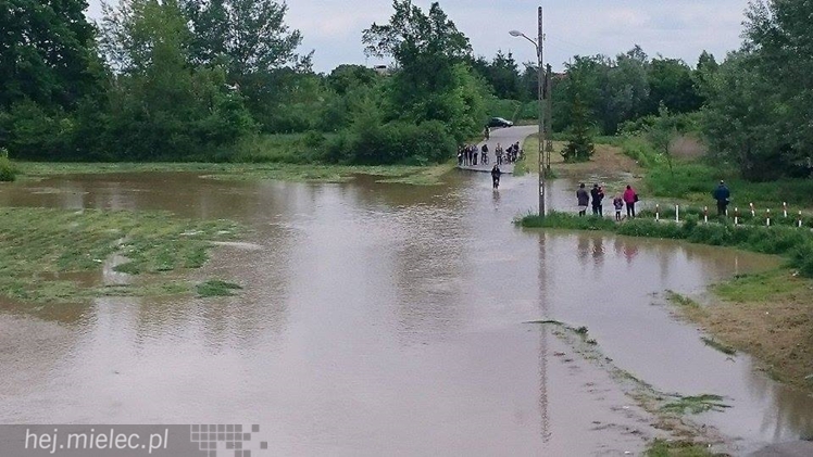 Wisłoka wystąpiła z brzegów