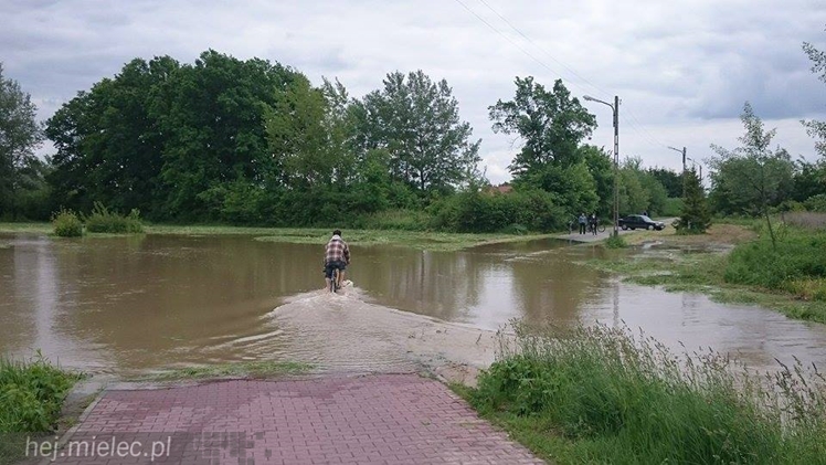 Wisłoka wystąpiła z brzegów