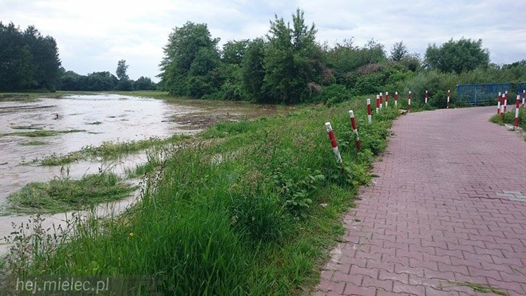 Wisłoka wystąpiła z brzegów