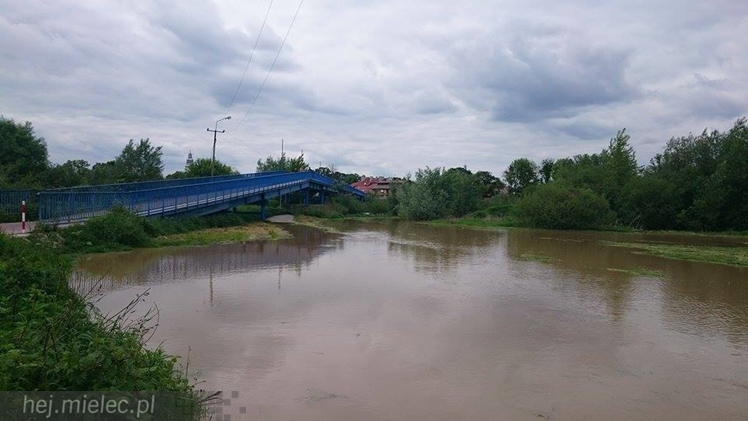 Wisłoka wystąpiła z brzegów