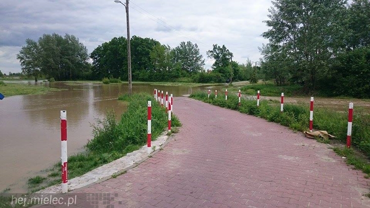 Wisłoka wystąpiła z brzegów