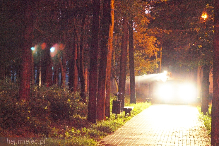 Tak wyglądało odkomarzanie miejskich parków