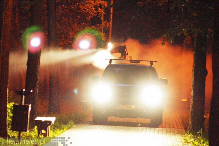 Tak wyglądało odkomarzanie miejskich parków