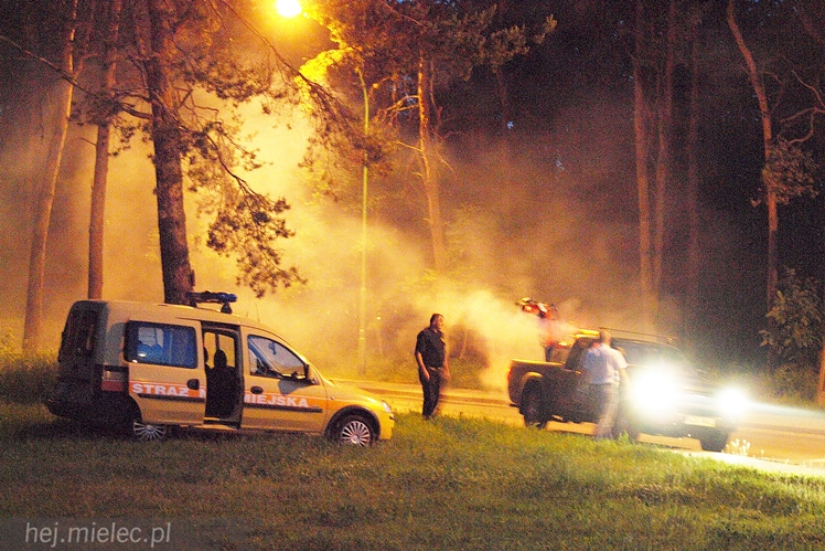 Tak wyglądało odkomarzanie miejskich parków