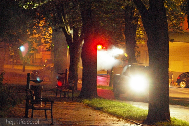 Tak wyglądało odkomarzanie miejskich parków