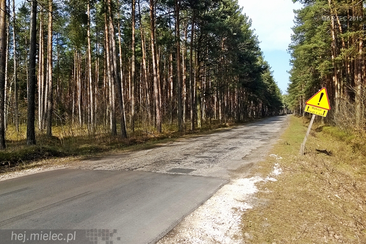 Porzucona droga powiatowa? Kilometr ziemi niczyjej między Mielcem i Kolbuszową