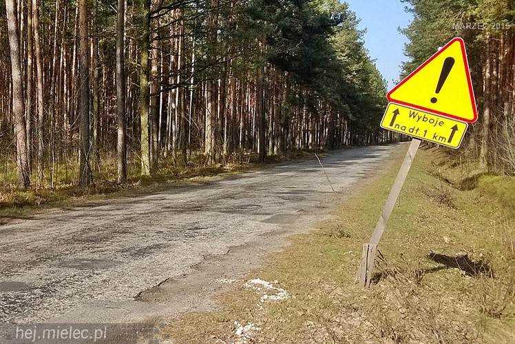 Porzucona droga powiatowa? Kilometr ziemi niczyjej między Mielcem i Kolbuszową