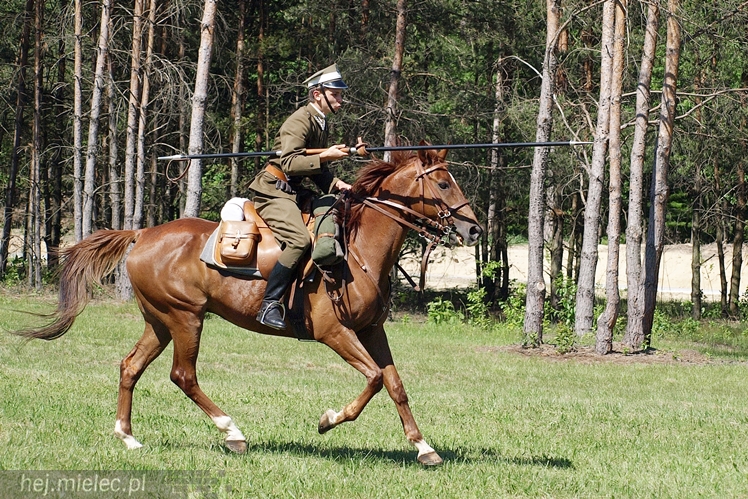 Obchody 95 rocznicy powstania 5 Pułku Strzelców Konnych