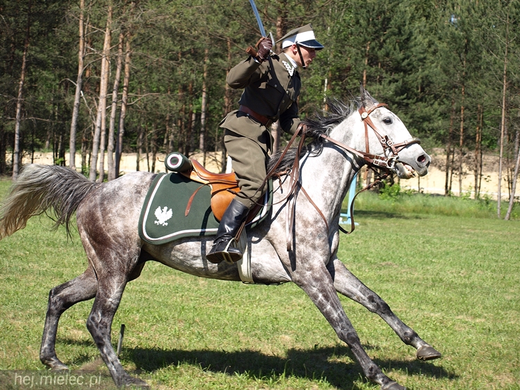 Obchody 95 rocznicy powstania 5 Pułku Strzelców Konnych