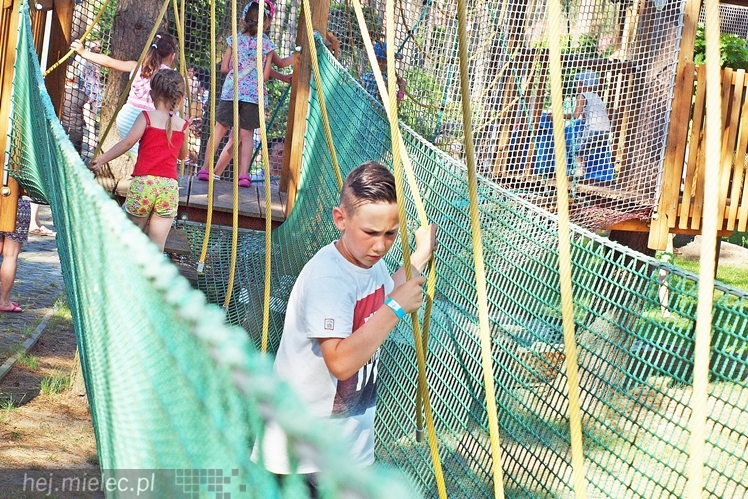 Moc dziecięcych marzeń na pikniku w Kolorado