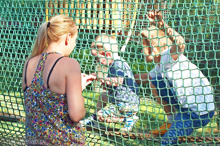 Moc dziecięcych marzeń na pikniku w Kolorado