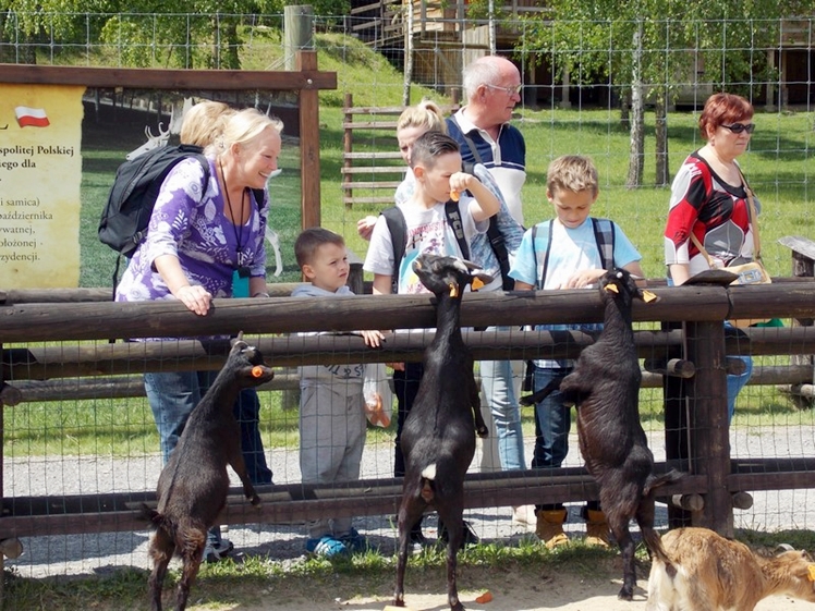 Dzień Dziecka w Bałtowie z mieleckim oddziałem PTTK