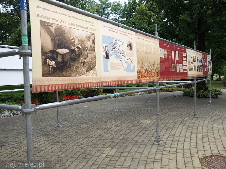 Konferencja 