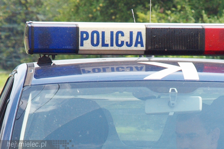Jacek Żądło i Marta Prajzner najlepsi w radomyskim Biegu Jacka Kozioła